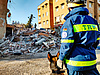 SEEBA Helfer mit Rettungshunden vor einem Trümmerkegel.
